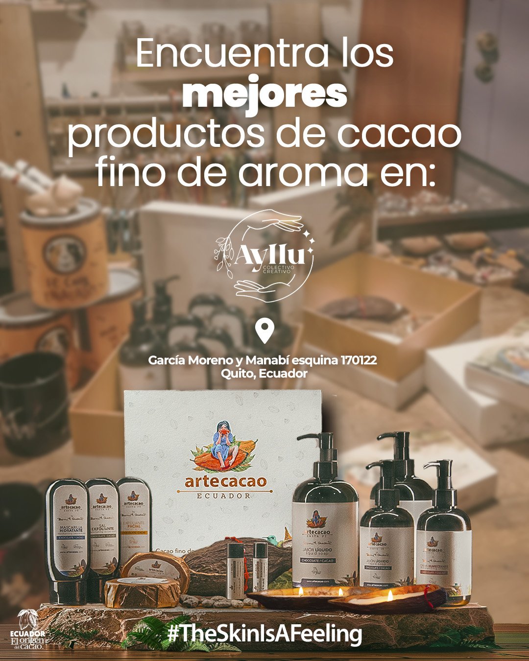 ARTECACAO - Imagen 4