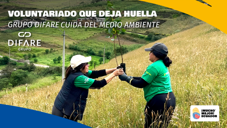 Voluntariado DIFARE