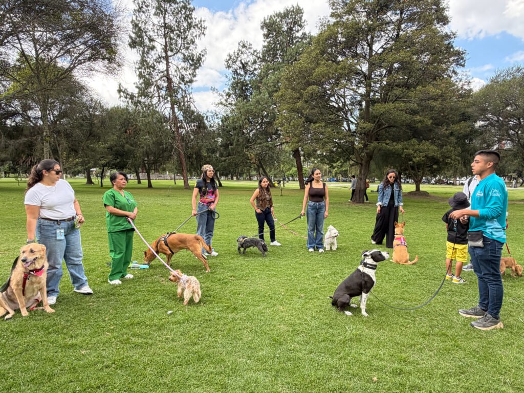 Alpina pet friendly junto a Dg Yurt y colaboradores y sus mascotas