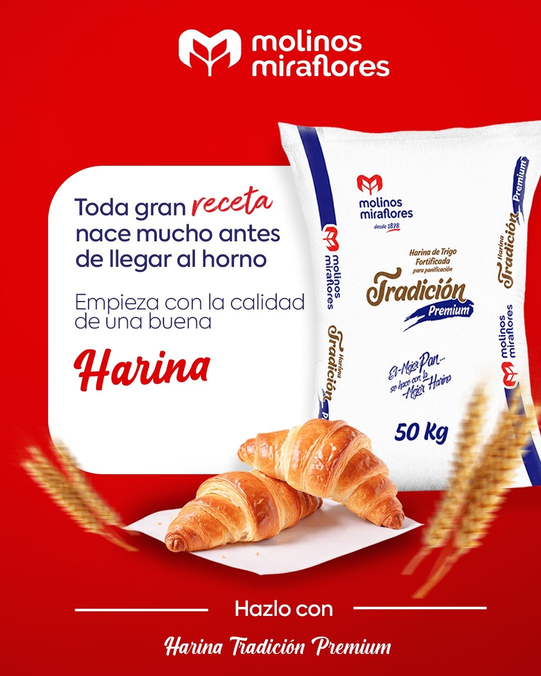 Molinos MIraflores S.A - Imagen 5